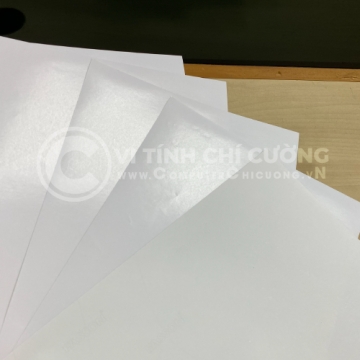 Decal Màng Tổng Hợp Trắng Mờ 54μm Có Lớp Phủ In – Keo Nước, Đế Kraft