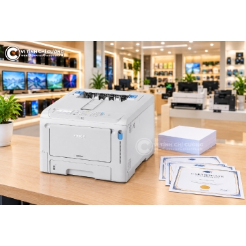 Cách Canh Chỉnh Text Box Trong Word Đúng Vị Trí Trên Phôi In Sẵn — Bằng cấp chứng nhận in sẵn